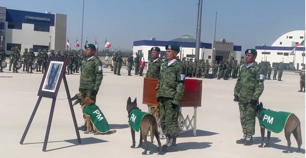 La Sedena rinde homenaje a Proteo a su llegada a México