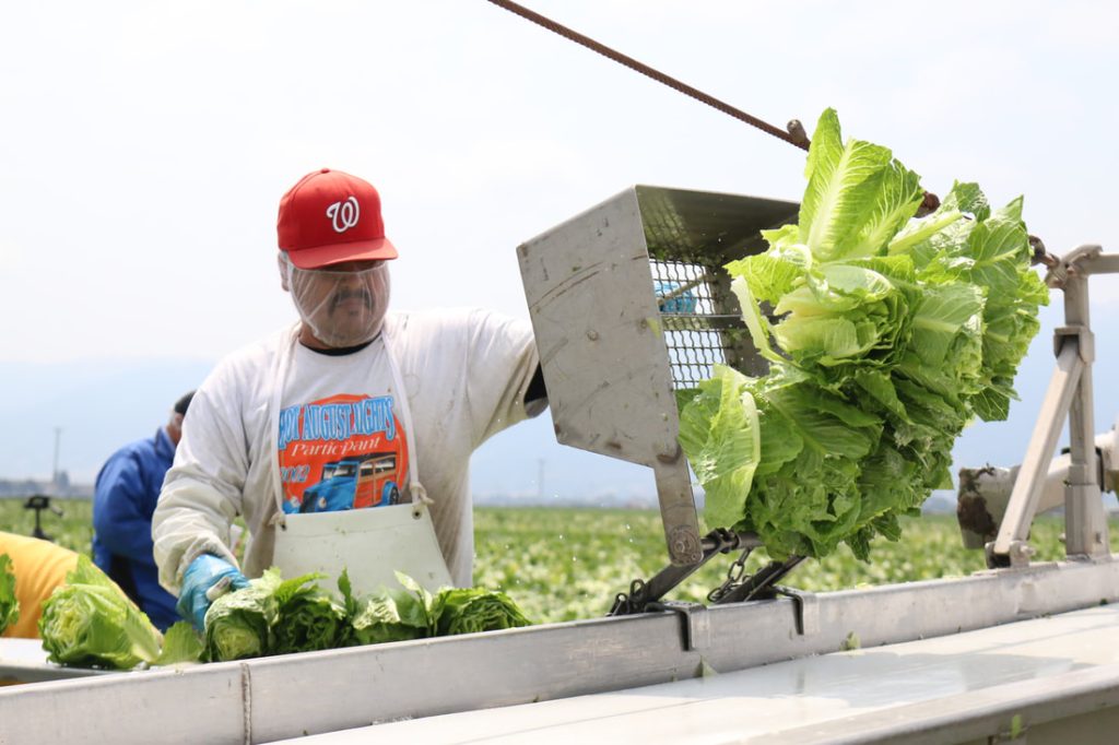 EE.UU. permitiría a ciertos trabajadores inmigrantes aplicar por una Green Card