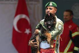 Reciben formalmente militares a “Arkadas”, el cachorro que donó Turquía