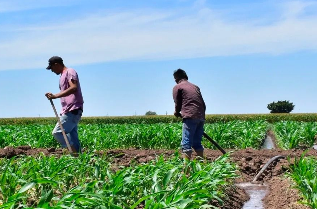 Extinguen la Financiera rural