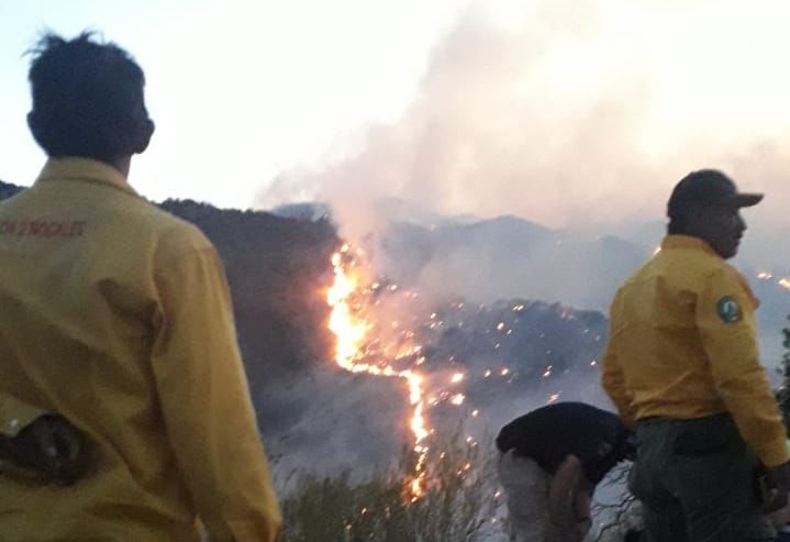 Llaman a apoyar con alimentos a combatientes de incendio forestal en la sierra de Ímuris