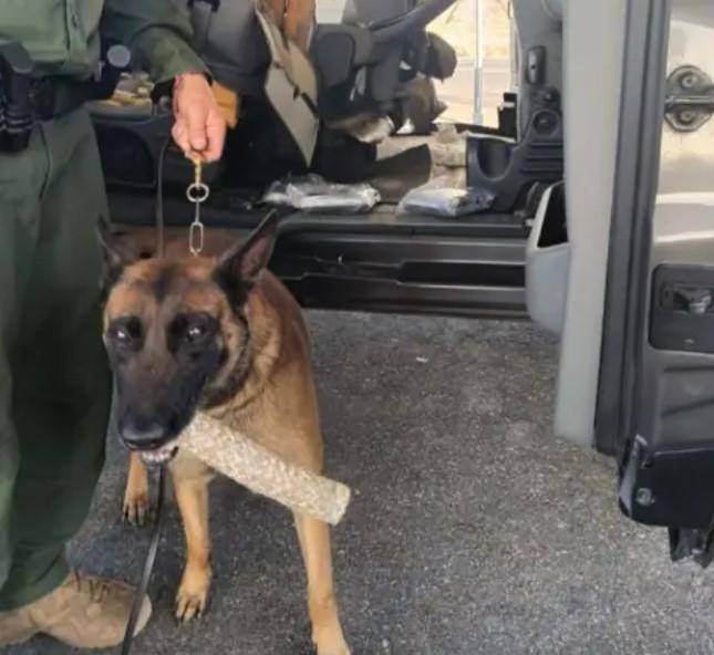 Un K-9 detecta 192 libras de fentanilo en Arizona