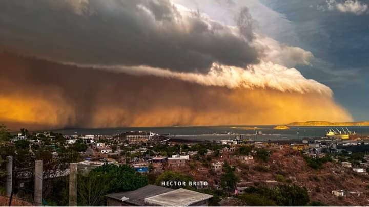 Tormenta de arena deja daños materiales en Guaymas y Empalme