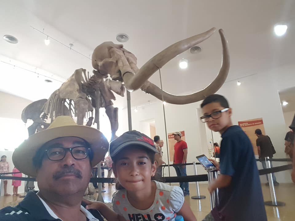 El mamut de Ecatepec volvió a casa, en renovado espacio museográfico