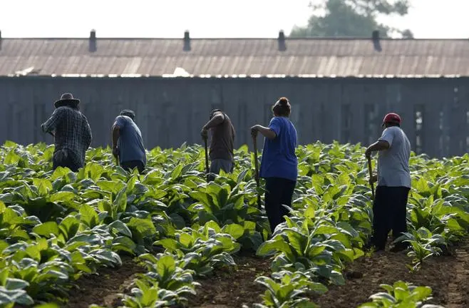 Informe revela cómo la migración puede revitalizar zonas rurales de los Estados Unidos