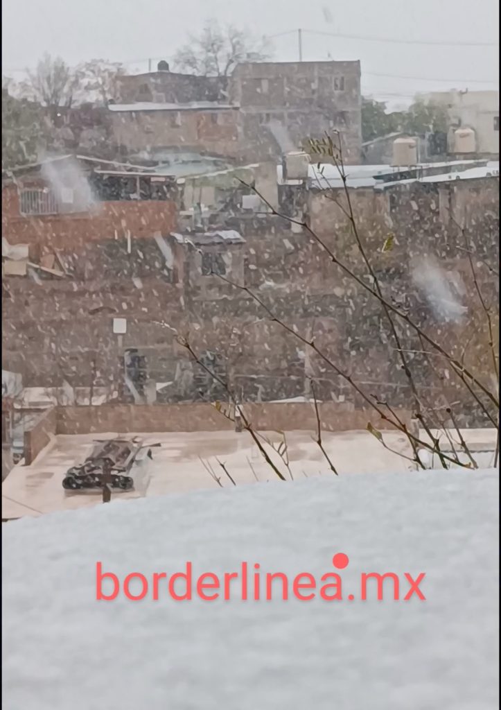 BONITA NEVADA EN NOGALES SONORA… Galería de fotos