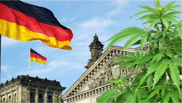 Aprueban en Alemania el autoconsumo de hasta 50 gramos de cannabis o tener 3 plantas en el hogar