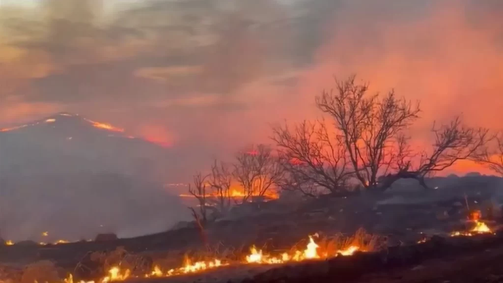 Alertan autoridades de EU a ocho estados, inlcuido Texas, por riesgo extremo de incendio