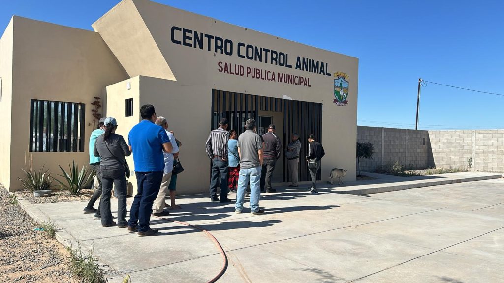 Se abre agenda de esterilizaciones para mascotas en CCA