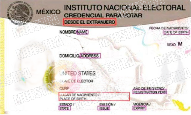 INE denunciará por detectar firmas falsificadas en solicitudes para votar desde el extranjero