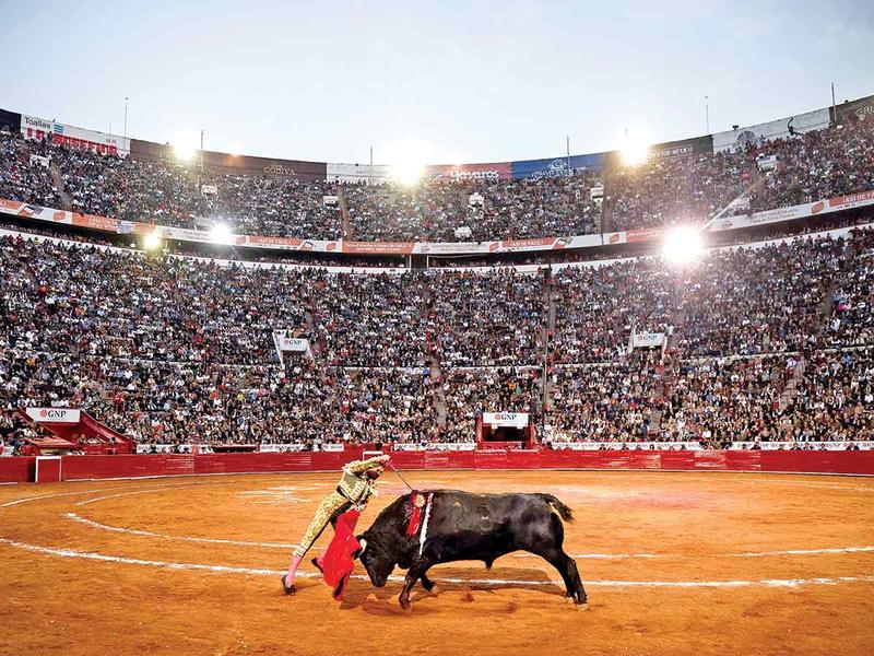 Rechaza jueza suspensión definitiva a amparo que busca eliminar las corridas de toros en la Plaza México