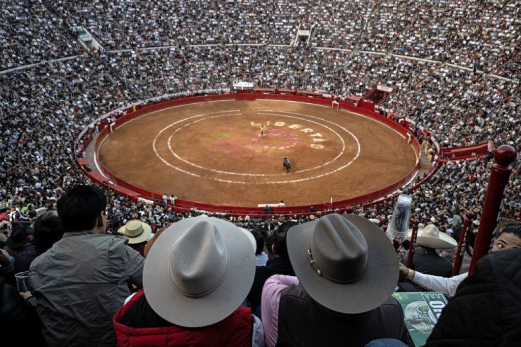 Jueza concede a organización suspender la corridas de toros en la Ciudad de México