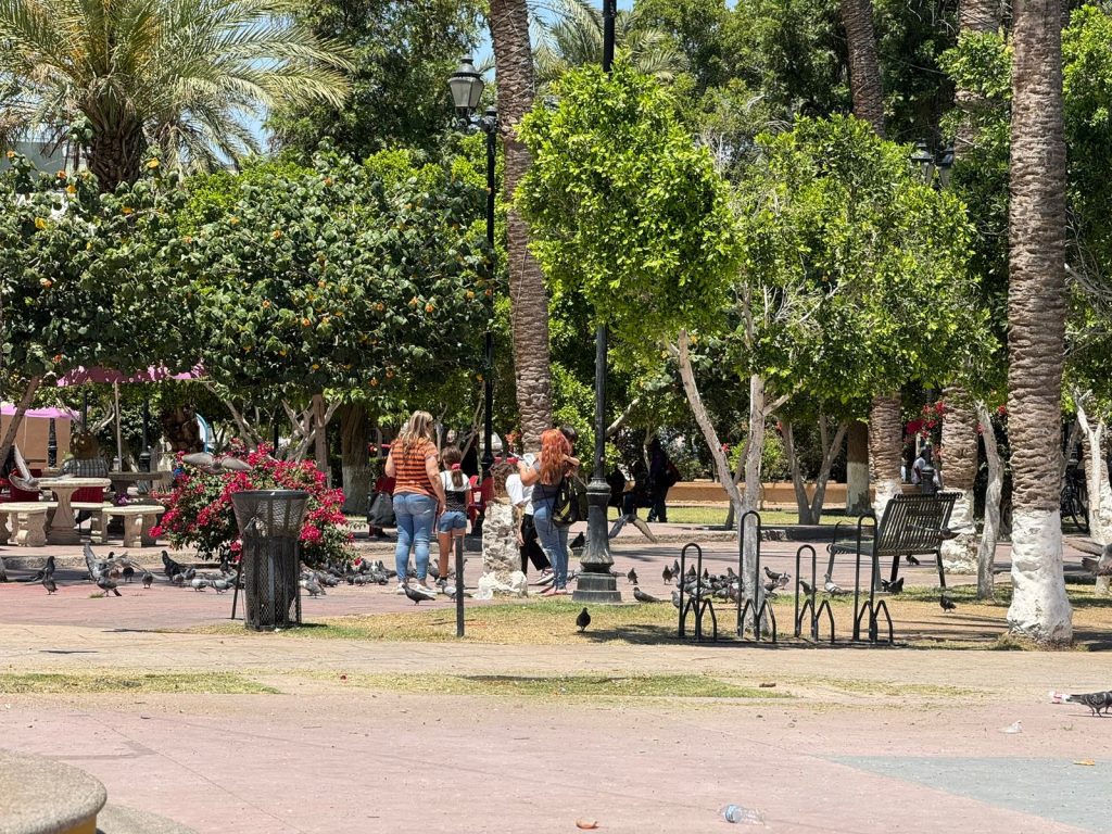 Incrementan temperaturas para este fin de semana