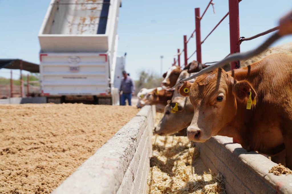 Entrega Gobernador Durazo tractocamión en beneficio de ganaderos del sur de Sonora