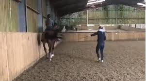 Expulsan de los Juegos Olímpicos a jinete británica por golpear “excesivamente” un caballo