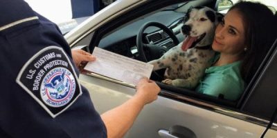 Entrarán nuevas normas para cruzar perros a Estados Unidos a partir del 31 de julio