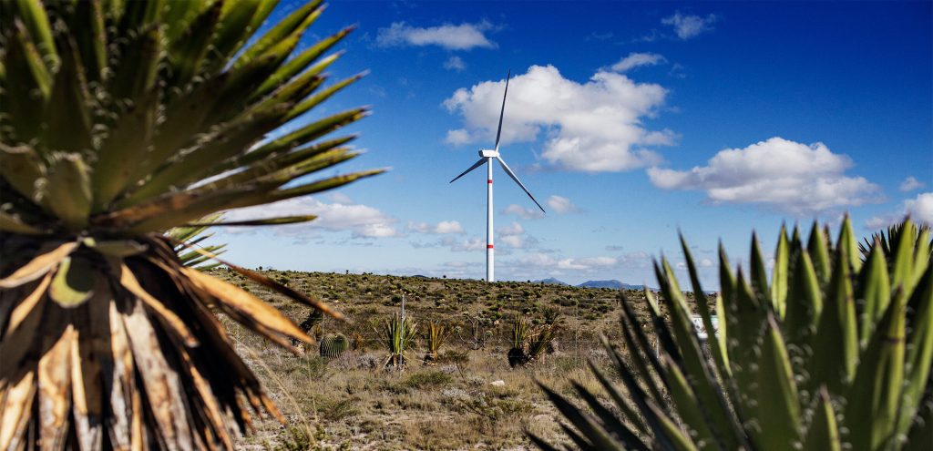 Los planes de Claudia Sheinbaum para impulsar  energías limpias generan interés en los inversionistas extranjeros