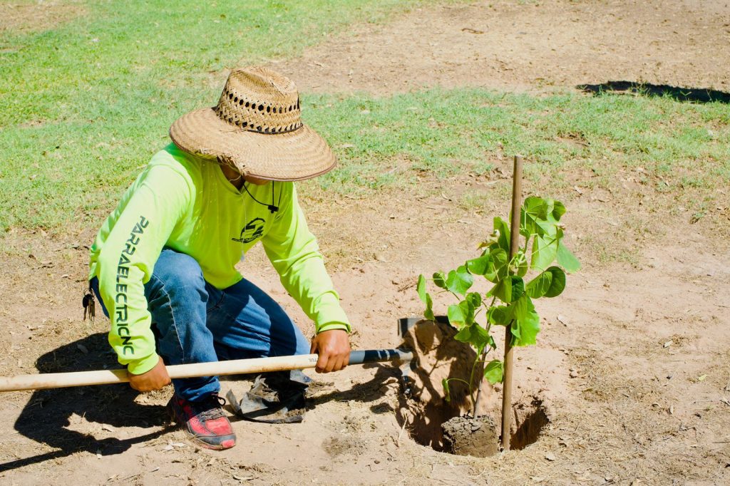 Inicia Obras Públicas nuevo programa de reforestación