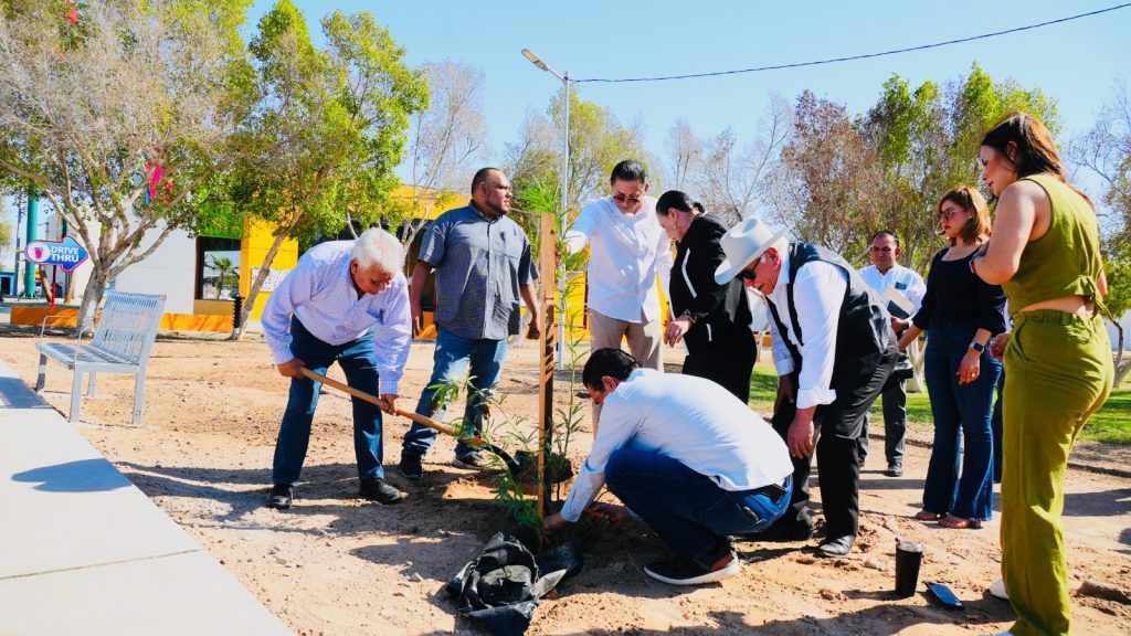 Suma Ayuntamiento 127 árboles plantados en la ciudad