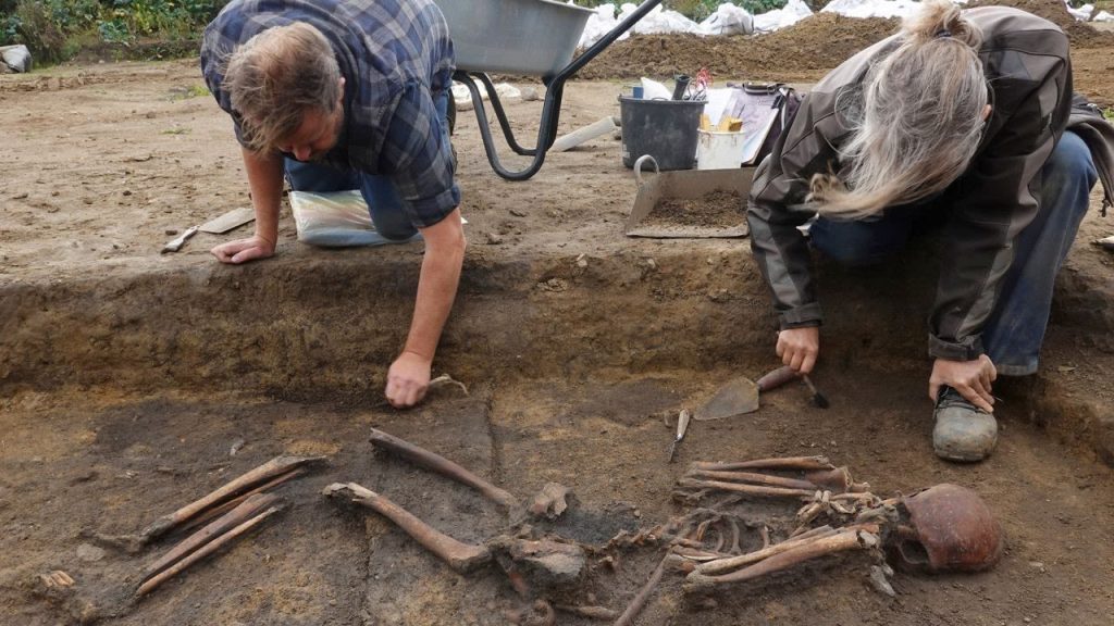 Esqueletos y cráneos fueron encontrados en un cementerio vikingo del siglo X en Aasum, Dinamarca