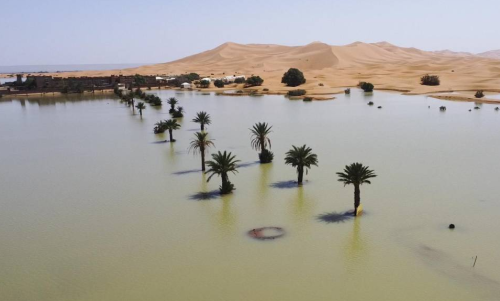 Lluvia inusual en el desierto del Sahara después de una sequía de décadas