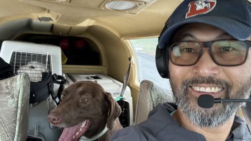 Muere en accidente aéreo en las montañas de Nueva York piloto rescatista de perros, dos canes sobreviven